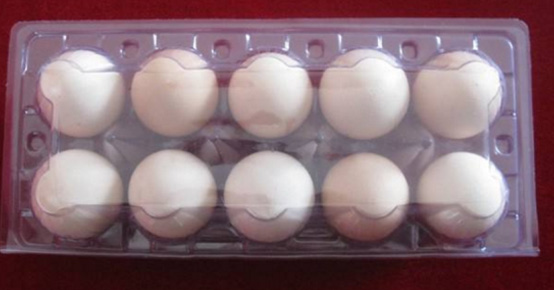 湖南(nán)省遵义汇中船舶(bó)制造有限责任公(gong)司,專業生産銷售(shòu)吸塑制品